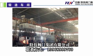 特技阀门集团阀门定制厂家质量参考评选