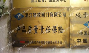 中国特技阀门集团有限公司规模怎么样