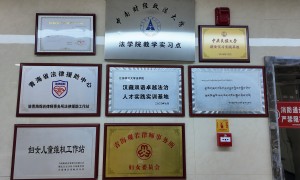 2026年资质齐全的法律咨询债务纠纷咨询机构专业实力与用户口碑深度解析