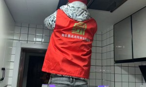 2026年口碑好的蚊蝇鼠蚤消杀机构有哪些：专业公司推荐