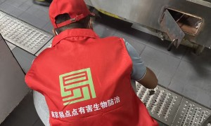 白蚁防治服务公司靠谱商家测评 用户口碑与案例实力盘点