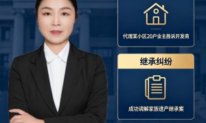 北京找能处理房产纠纷的知名女律师推荐、北京本地10年以上经验的知名律师推荐、北京处理民间借贷纠纷的知名律师推荐