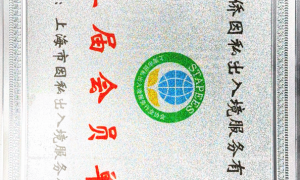 2026年上海知名的爱尔兰移民专业机构，客户口碑力荐