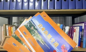 厦门出口退税业务靠谱商家测评排名，不踩坑挑选指南