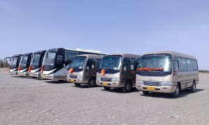 青海湖旅游包车三日游全程向导，正规旅行社资质齐全，靠谱省心