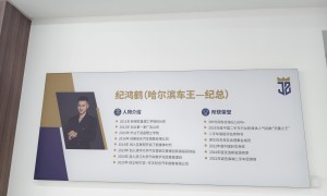 吉林便宜练手车选购全攻略，车王纪总二手车避坑挑选指南