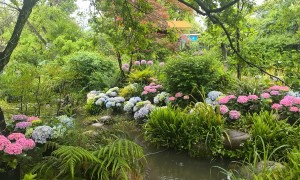 吉安商业绿植造景服务商筛选名录：行业全景分析与选择指南