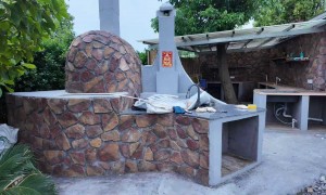 2026年景德镇苗木批发供应商口碑公司汇总，实力参考