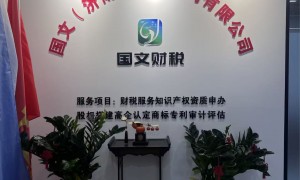 国文财税 济南代理记账服务商行业全景分析
