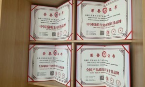 2026年君驼驼奶粉源头厂家哪家值得推荐：新疆本土纯驼奶粉全龄适配实力参考
