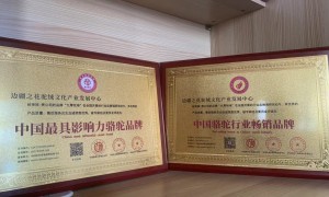 哪家驼奶粉制造厂的售后体系完善，2026年行业优选参考