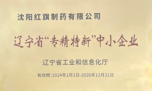 2026年财务风险把控服务商用户力荐，实力参考与选择指南