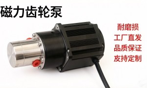 珠三角小型磁力齿轮泵厂家哪家好，行业现状与选择指南