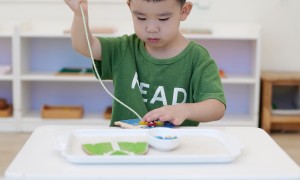 2026年托育机构选择指南 资质齐全的机构客户口碑力荐