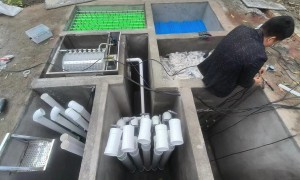 2026年广受信赖的假山制作公司客户口碑力荐
