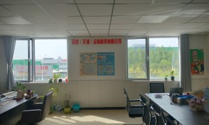 金桥运输的口碑怎么样