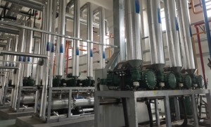 呼和浩特冷库安装服务商怎么选?富苑制冷，大型冷库项目案例实力汇总