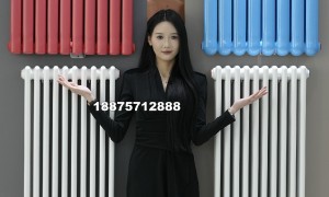 山东钢制柱式散热器源头生产厂家综合实力推荐，价格公道不玩套路