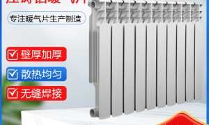 2026年知名的铸铝暖气片公司，行业前五实力盘点