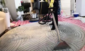 北京丰台地毯清洗服务商规模分析