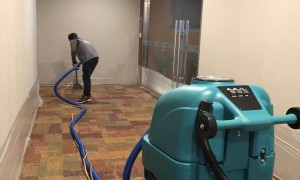 北京顺义地毯清洗企业品牌成立年限与行业口碑汇总