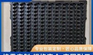 2026年优质的电子吸塑制造厂靠谱商家测评排名