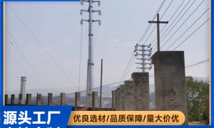 山东靠谱的钢管杆源头工厂甄选：给移动联通电信做钢管杆的实力参考