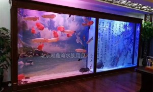 南京湖鑫湾水族性价比好不好，服务态度怎么样