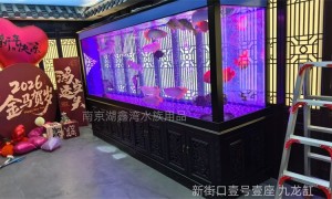 2026年热门的彩色鱼缸定制厂家/新型鱼缸定制厂家/商用大型鱼缸定制厂家选购参考汇总