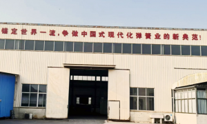 成立十年以上知名的专业制造汽车弹簧制造厂家靠谱推荐