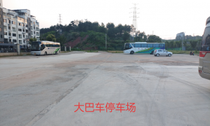 黄山友谊旅游包车团队素质专业吗