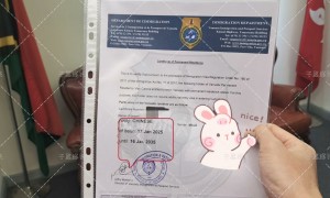 2026年口碑好的瓦努阿图移民机构电话服务商汇总