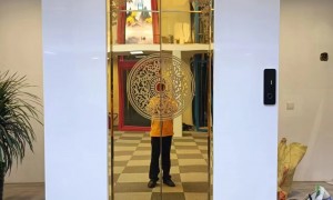 中豪重工家用电梯市场占有率如何