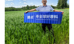 膳贞燕麦护肠胃服务怎么样
