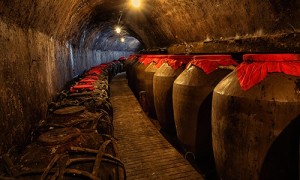 河北原酒酿造厂哪家实力强？2026年市场占有率排名