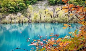 2026成都广受信赖的九寨沟旅游旅行社服务商客户口碑力荐