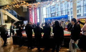 学区别墅四代墅和普通叠拼哪个好、学区别墅什么地段更有价值、学区别墅环境哪家好实力参考