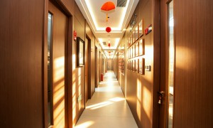 音乐艺考培训学校实力参考：行业口碑汇总