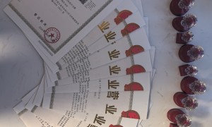 大连中介行业注册公司哪家口碑好，资质齐全服务商优选