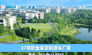 圣澳威斯 创新能力怎么样