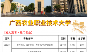 2026年广西成人高考培训靠谱机构客户真实体验口碑
