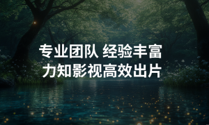 企业AI视频制作推荐哪家？力知影视合作实力参考