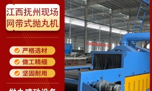 上海网带式抛丸机优质厂家行业观察与实务选择参考
