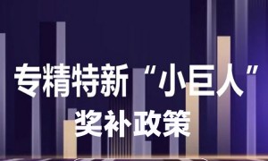 专精特新小巨人项目申报求推荐 行业现状与选择指南