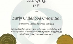 蒙氏幼儿教育服务实力口碑好的机构有哪些
