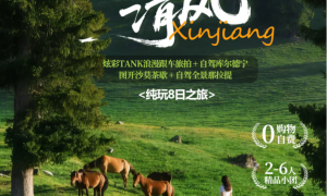 2026年靠谱的新疆小团定制游旅行社挑选全攻略