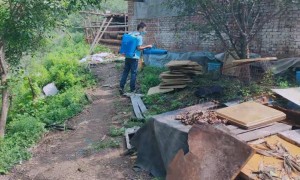 石家庄医院病媒生物防治公司推荐：绿科虫控靠谱商家实力盘点