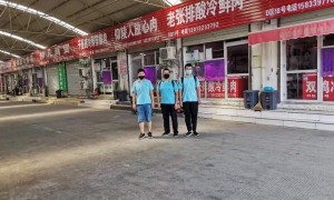 石家庄灭鼠服务商综合实力推荐，专业实力与用户口碑深度解析