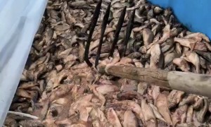 2026年海南畜禽粪污水肥发酵技术供应商推荐，至合农业客户口碑力荐