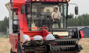 河南科技学院留学生教育发展现状与本科院校选择指南